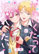 かわいくたって抱かれたい3 パッケージ画像