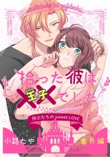 拾った彼は××でした 番外編 パッケージ画像