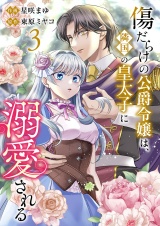 傷だらけの公爵令嬢は、隣国の皇太子に溺愛される【電子単行本版／特典おまけ付き】３ パッケージ画像