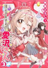 見えてますよ！　愛沢さん3 パッケージ画像