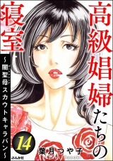 高級娼婦たちの寝室 〜闇聖母スカウトキャラバン〜 （14） パッケージ画像