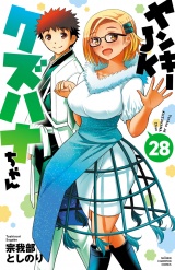 ヤンキーJKクズハナちゃん　28 パッケージ画像