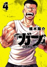 ガブ　4 パッケージ画像