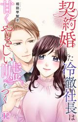 契約婚した冷徹社長は甘くやさしい嘘をつく12 パッケージ画像