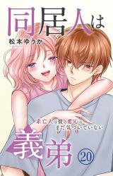 同居人は義弟 未亡人は彼の恋心にまだ気づいていない20 パッケージ画像