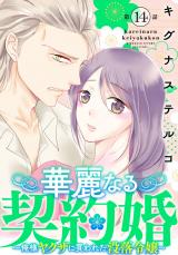 華麗なる契約婚 ～俺様ヤクザに買われた没落令嬢～14 パッケージ画像