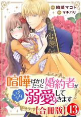 喧嘩ばかりだった婚約者がいきなり溺愛してきます【合冊版】13 パッケージ画像