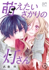 萌えたいさかりの灯さん　3 パッケージ画像