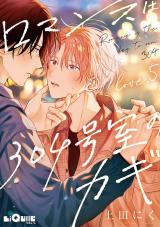 ロマンスは304号室のカギ　Love.5 パッケージ画像