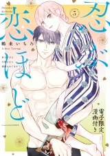 忍ぶ恋ほど −好きすぎる旦那さまに溺愛されてます？− 5【電子限定漫画付き】 パッケージ画像