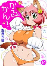 かるかん!14 パッケージ画像