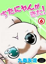 ちたにゃんがきた！6 パッケージ画像