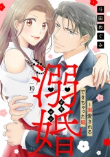 【分冊版】溺婚〜溺愛されるできちゃった婚〜19話 パッケージ画像