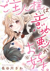 ご主人様は意地悪がお好き。（10） パッケージ画像