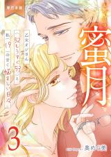 蜜月～乙女オジさん(52もうすぐ53)と私(19)の甘く悩ましい日々～【単行本版】　3 パッケージ画像