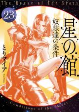星の館23 奴隷達の条件 パッケージ画像