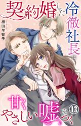 契約婚した冷徹社長は甘くやさしい嘘をつく13 パッケージ画像