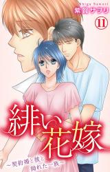 緋い花嫁～契約婚と彼と拗れた一族～11 パッケージ画像