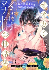 オオカミ王子の発情お世話係〜甘咬み求愛からは逃げられない!?〜（13） パッケージ画像