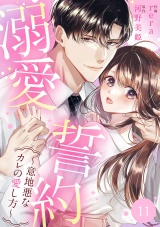 溺愛誓約〜意地悪なカレの愛し方〜１１ パッケージ画像