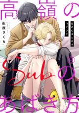 高嶺のSubのあばき方～君の心をとかすコマンド～9 パッケージ画像