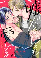 嘘だとしても愛してる5 パッケージ画像
