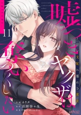 嘘つきヤクザは奪いつくしたい〜甘い支配に濡れる蜜夜 11 パッケージ画像