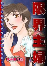 限界主婦～ストレスでブチギレ秒読みです！～ パッケージ画像