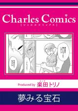 夢みる宝石 パッケージ画像