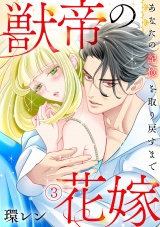 獣帝の花嫁　あなたの記憶を取り戻すまで(3) パッケージ画像