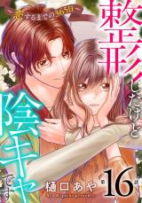 整形したけど陰キャです～恋するまでの365日～16 パッケージ画像