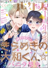 comicルクス Vol.13 パッケージ画像