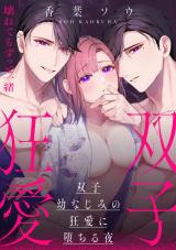 双子幼なじみの狂愛に堕ちる夜～壊れてもずっと一緒 パッケージ画像