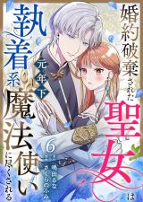 婚約破棄された聖女は執着系元年下魔法使いに尽くされる 第6話 パッケージ画像