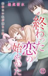 終わった恋の始めかた 産めない私が堕ちる恋17 パッケージ画像