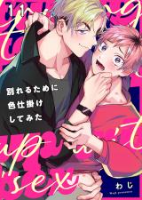 別れるために色仕掛けしてみた11 パッケージ画像