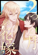 2つの月の花嫁【全年齢版】(4) パッケージ画像