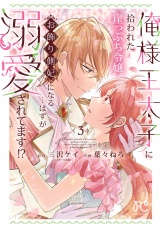 俺様王太子に拾われた崖っぷち令嬢、お飾り側妃になる…はずが溺愛されてます!?　3 パッケージ画像