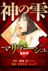 マリアージュ 〜神の雫 最終章〜 11（ハーパーコリンズ・ジャパン×アルト出版） パッケージ画像