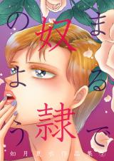 まるで奴隷のよう 如月夏水作品集　2巻 パッケージ画像