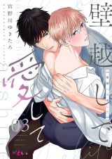 壁越しで愛して 3 パッケージ画像