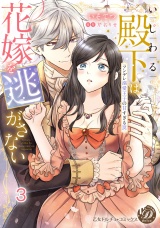 いじわる殿下は花嫁を逃がさない〜ツンデレ溺愛王子の甘すぎる罠〜vol.3 パッケージ画像