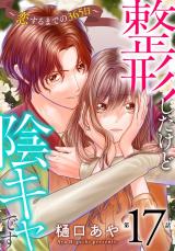 整形したけど陰キャです～恋するまでの365日～17 パッケージ画像