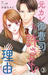 元カレ御曹司が私を許さない理由3 パッケージ画像