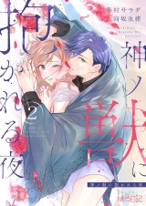 神ノ獣に抱かれる夜 2 パッケージ画像