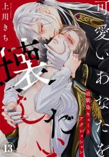 可愛いあなたを壊したい　幼馴染キュートアグレッション13 パッケージ画像