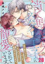 当て馬キャラのくせして、スパダリ王子に寵愛されています。28 パッケージ画像