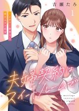 夫婦契約はスイートルームで～ムカつく御曹司と蜜月ホテル経営1 パッケージ画像