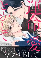 運命は愛でとかして【電子単行本版】 パッケージ画像