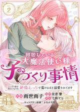 同居している大魔法使い様の子づくり事情 こっそり家を出るつもりが、絶倫えっちで蕩けるほど溺愛されてます(2) パッケージ画像
